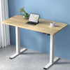 Artiss Standing Motorised Desk