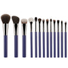 Professional 13-Piece Makeup Brush Set